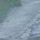 Illustration for article titled More Rain And Misery At Watkins Glen Red-Flags Todays Race